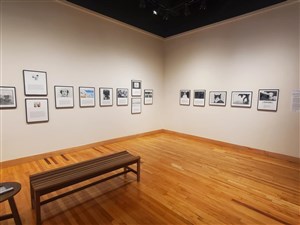 Tony Mendoza: Pictures With Stories